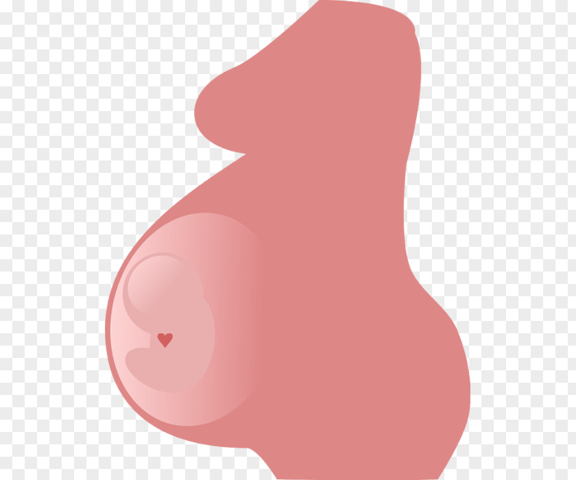 Pregnancy Transparent Background Text Cartoon Illustration PNG