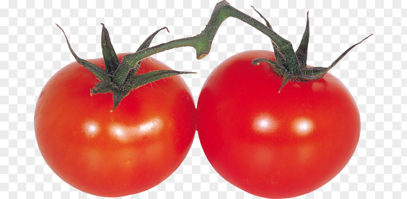 Tomato Plum Bush Juice Souvlaki PNG