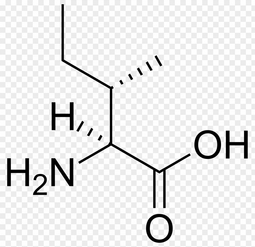 Urine Isoleucine Branched-chain Amino Acid Proteinogenic Essential PNG