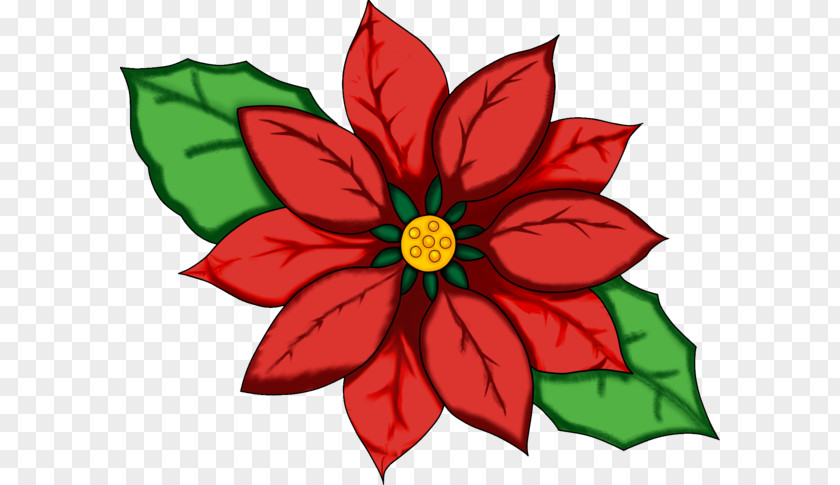 Christmas Eve Floral Design Cut Flowers Dahlia Pattern PNG