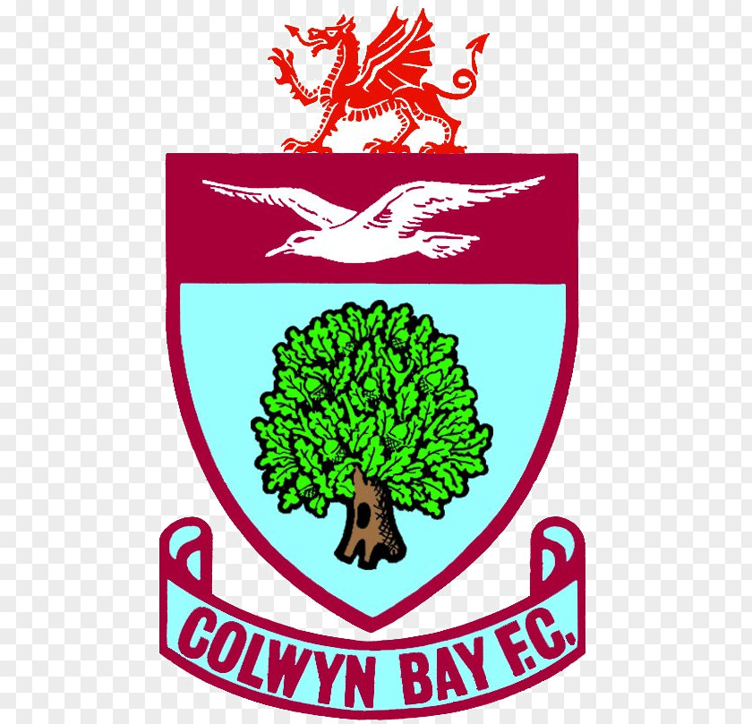 Colwyn Bay F.C. Northern Premier League Hyde United Marine PNG