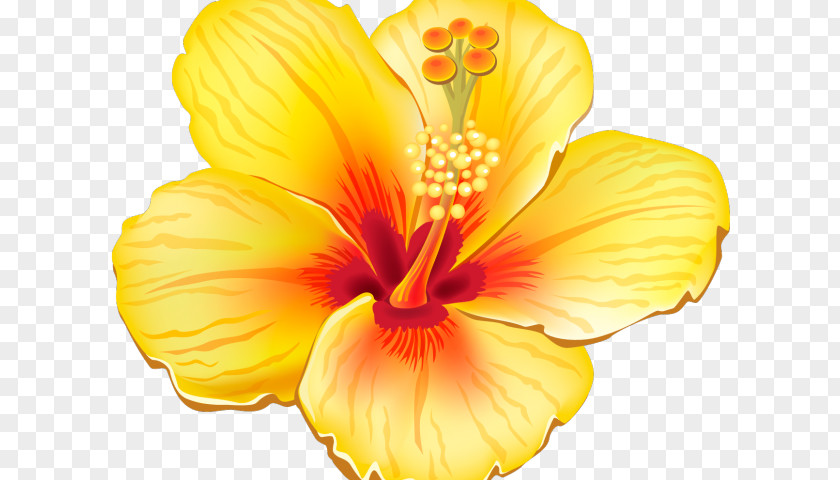 Flower Clip Art Image Openclipart PNG