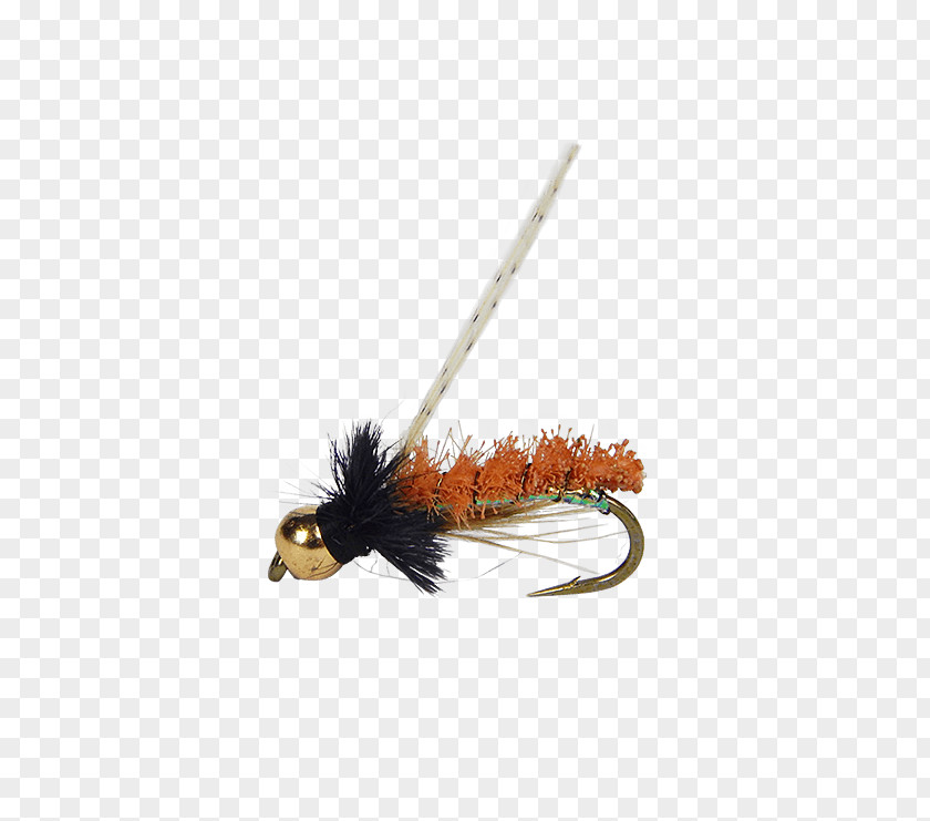 Fly Fishing Insect Nymph Bead PNG