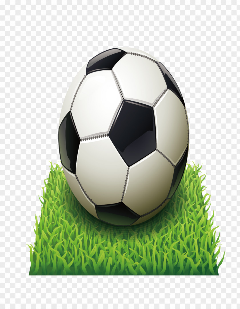 Football FIFA World Cup Icon PNG