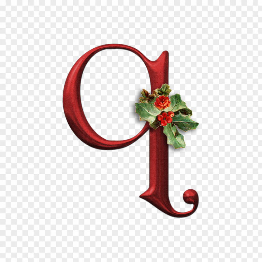 Interior Design Ornament Christmas Holly PNG