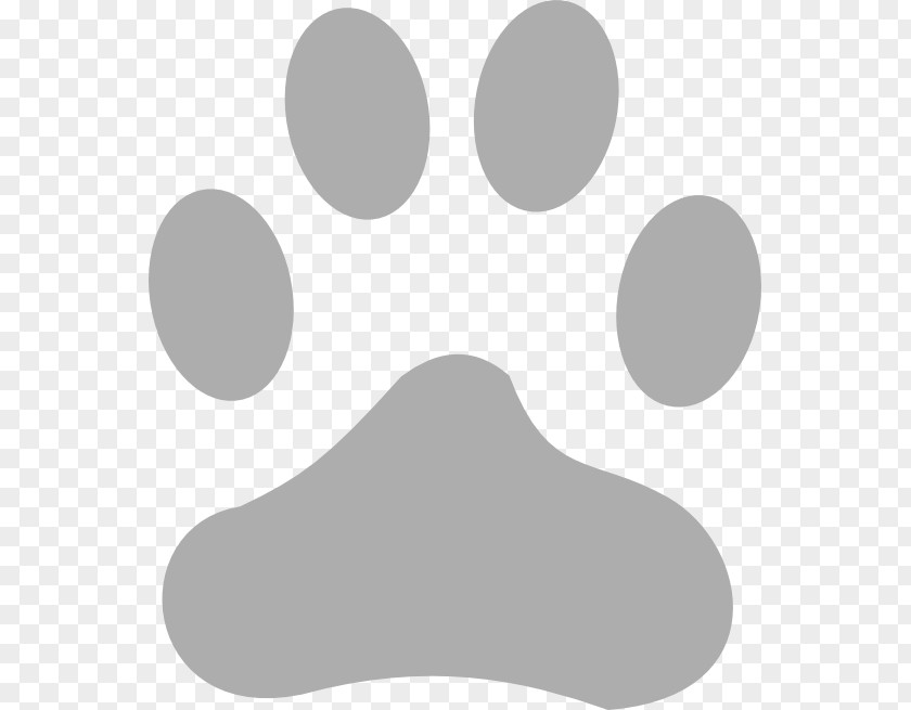 Lay Out White Line Paw Angle PNG