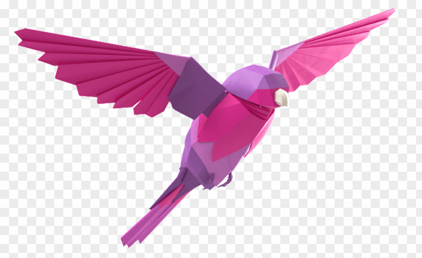 Pink Bird Hummingbird Geometry Three-dimensional Space Feather PNG