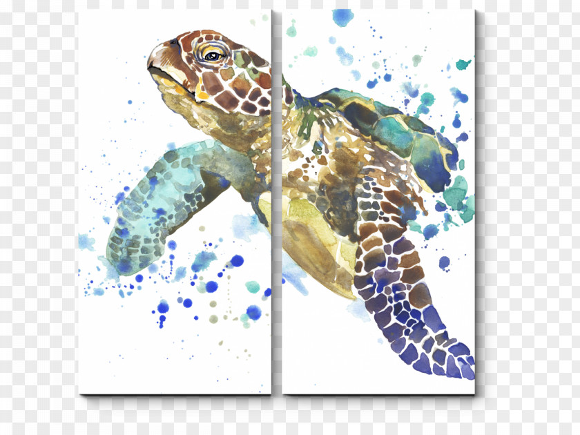 Turtle Sea Turtles (Under The Watercolor Painting PNG