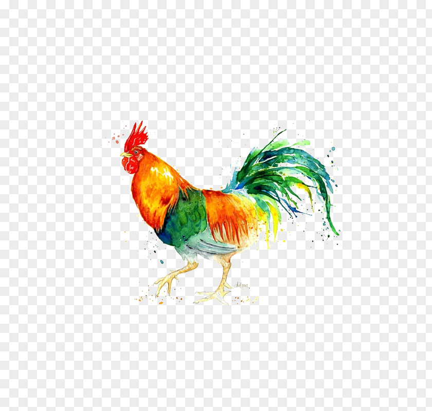 Watercolor Animals Chicken Watercolor: Painting Rooster PNG