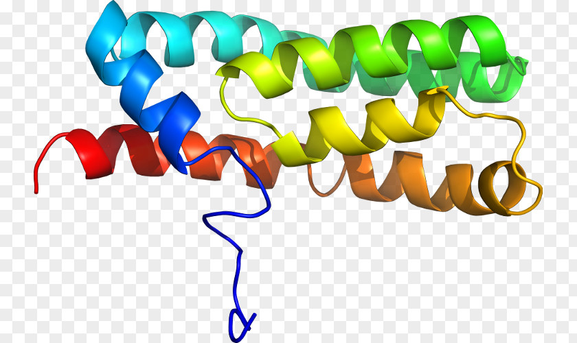 Anaerobic Respiration Clip Art Organism Line PNG