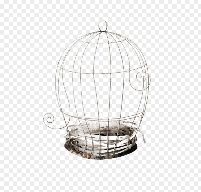 Bird Cadge Cage Clip Art PNG