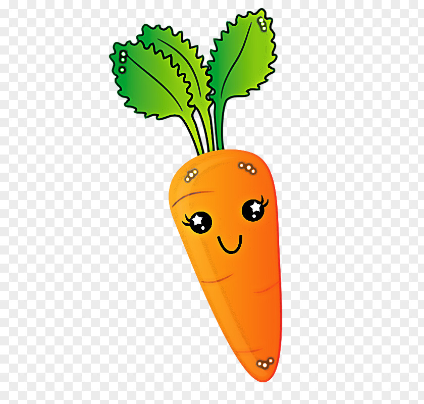 Carrot Vegetable Root Cartoon Daikon PNG