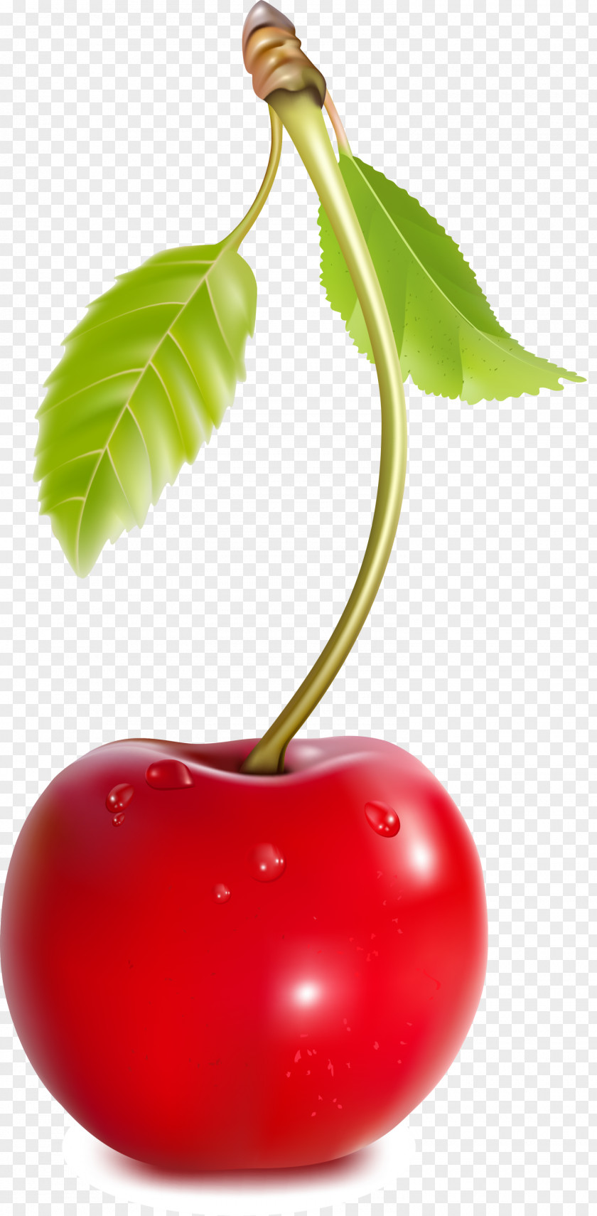 Green Cherry Coca-Cola Fruit PNG