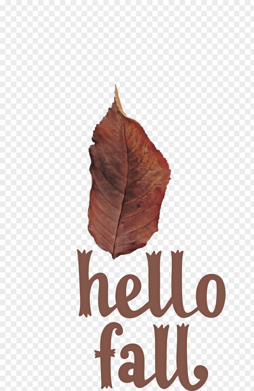 Hello Fall Fall Autumn PNG