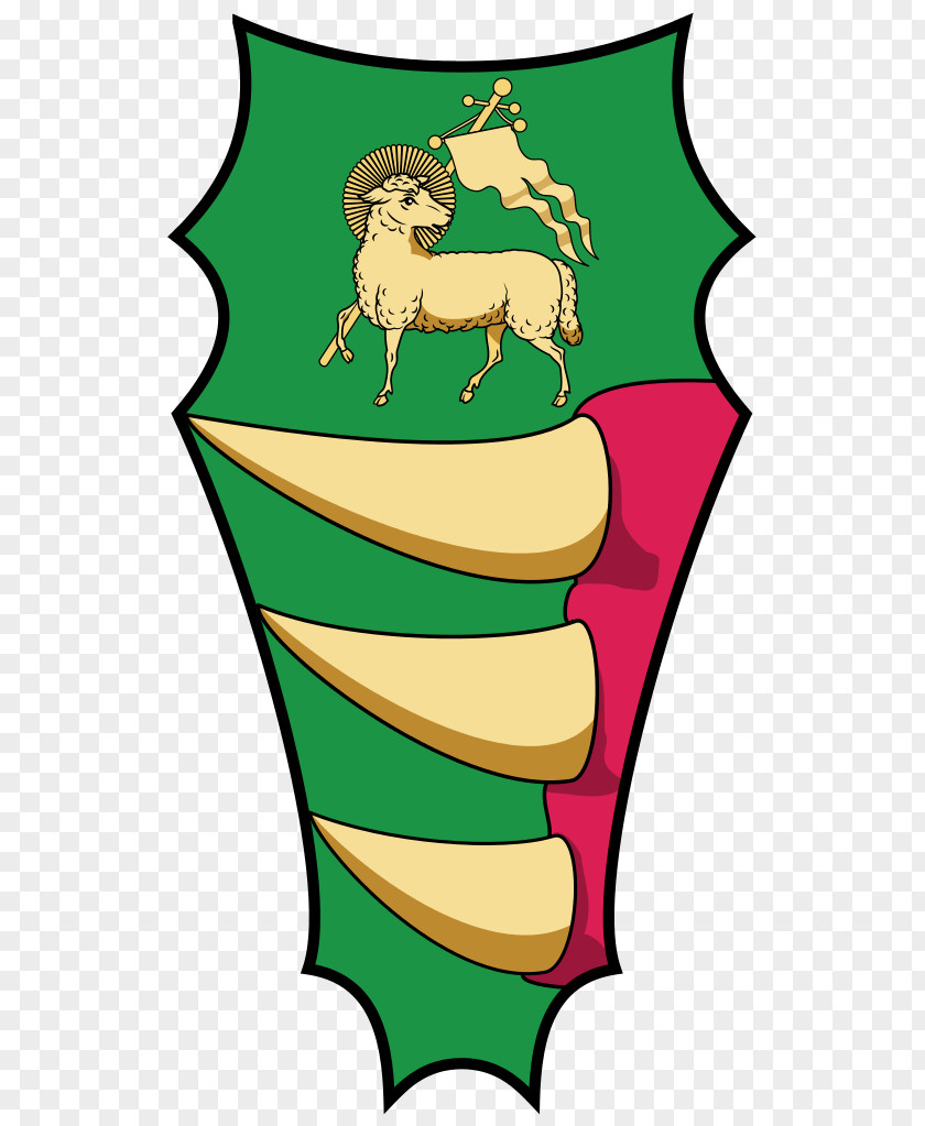 Hungarian Coat Of Arms Flag Nyírbátor Mátészalka Nyíregyháza PNG