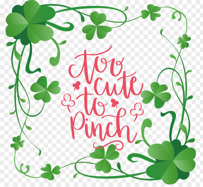 Too Cute_to Pinch St Patricks Day PNG