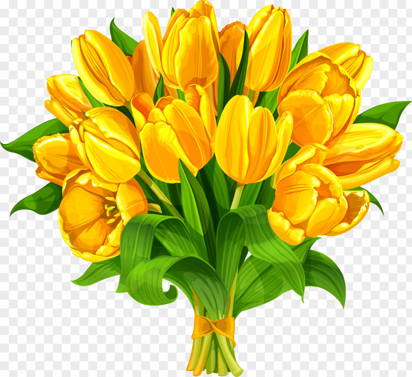 Tulip Indira Gandhi Memorial Garden Flower Bouquet PNG