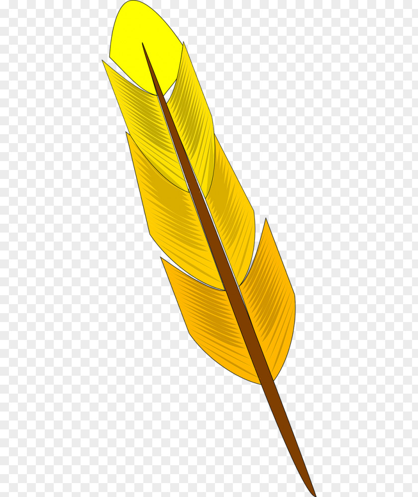 Bird Clip Art Feather Yellow Openclipart PNG