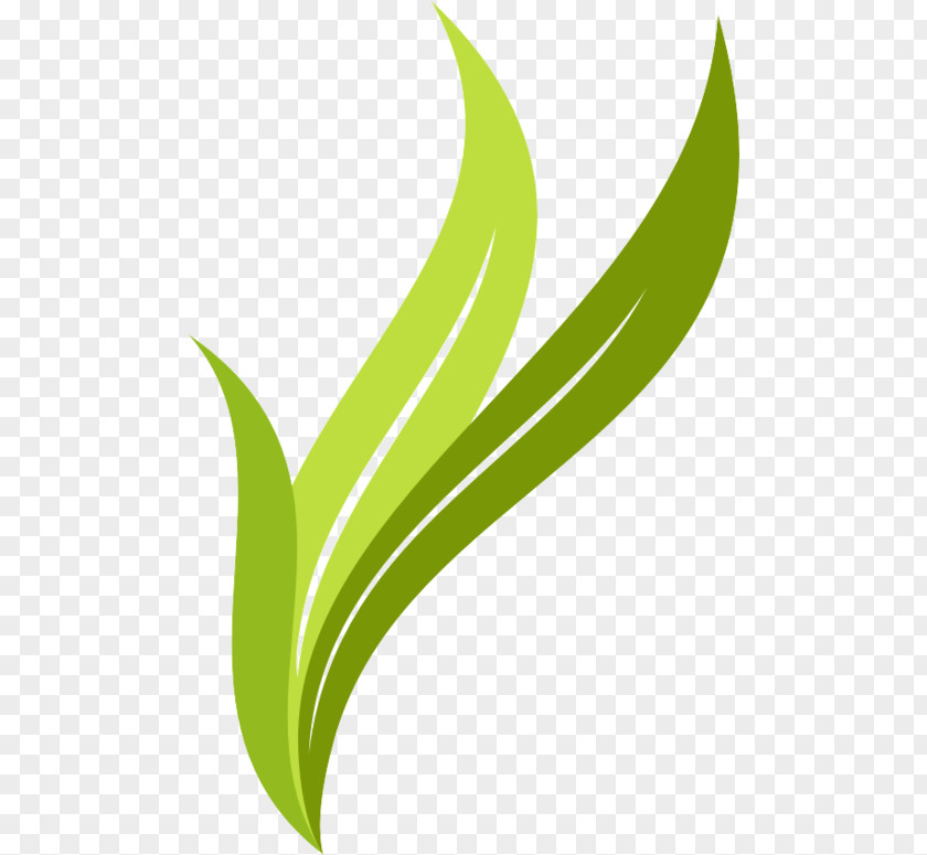 Creative Leaves Leaf Logo Brand PNG