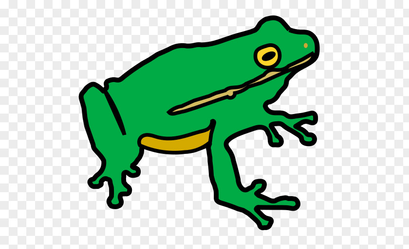 Frog Toad Lithobates Clamitans Public Domain Clip Art PNG