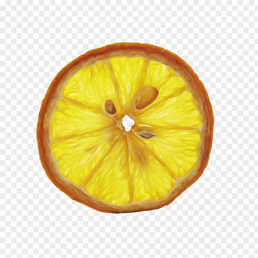 Kumquat Lime Lemon Cartoon PNG
