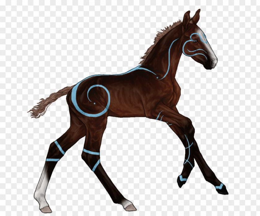 Mustang Foal Colt Mare Stallion PNG