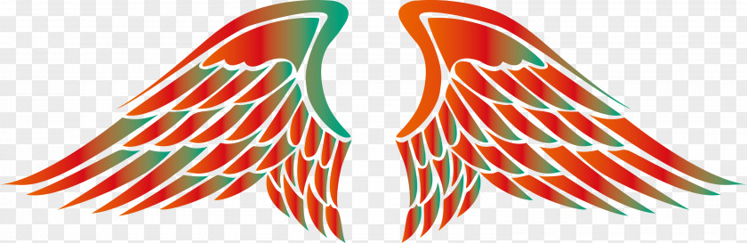 Wings Bird Angle PNG