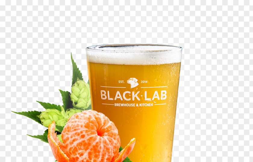 Beer BlackLab Brewhouse & Kitchen Orange Drink Blond Ale Food PNG