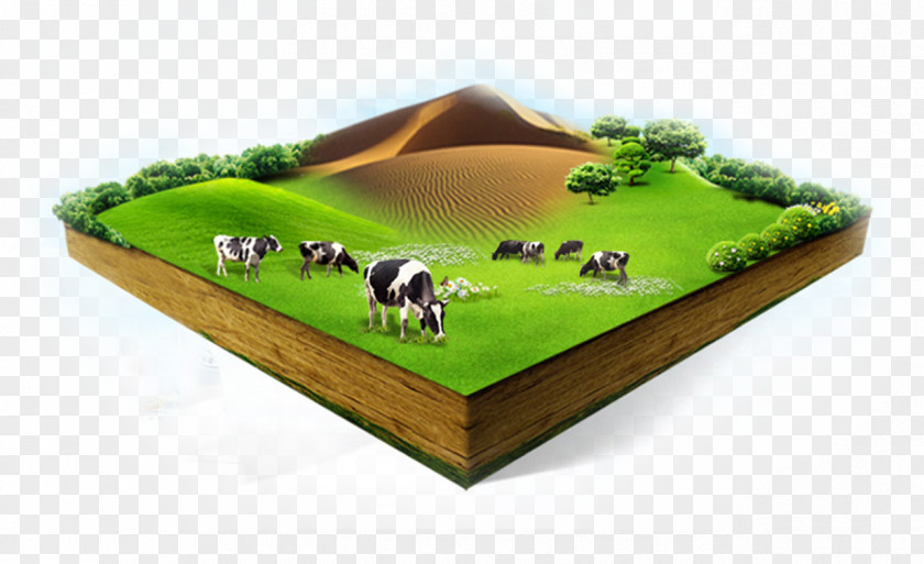 Dairy Cow Soured Milk Cattle Organic Food Cows PNG