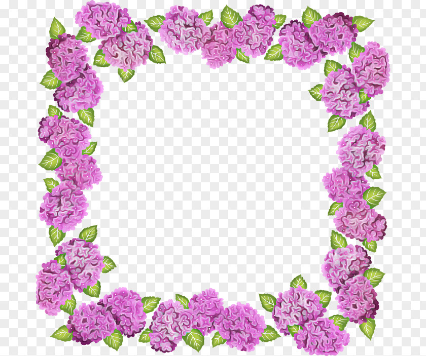 Flower Hydrangea Picture Frame PNG