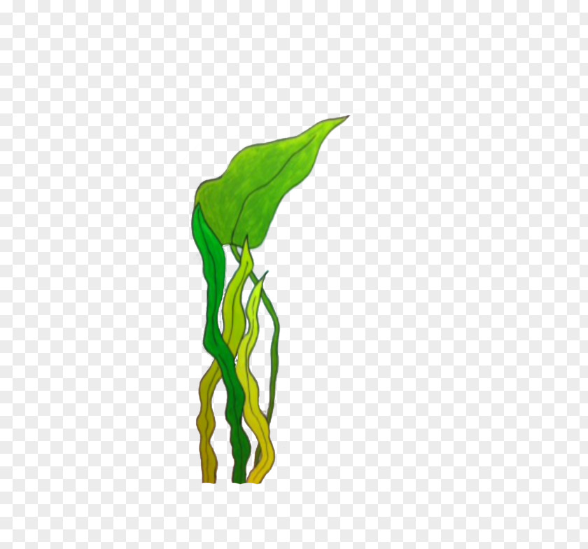 Leaf Discovery Bay Daycare Child Care Plant Stem PNG