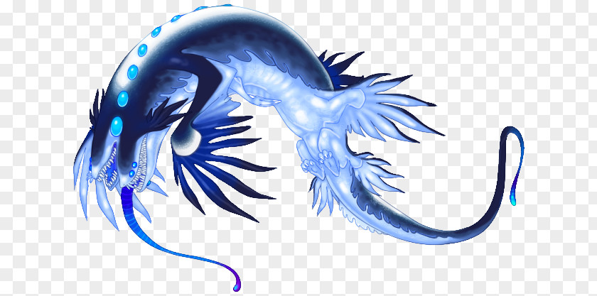 Sea Slugs Blue Glaucus Nudibranch Drawing DeviantArt PNG