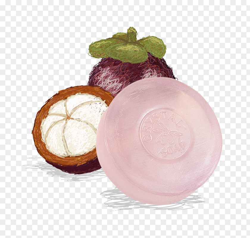 Thai Oil Soap Purple Mangosteen Fruit Stock Illustration PNG