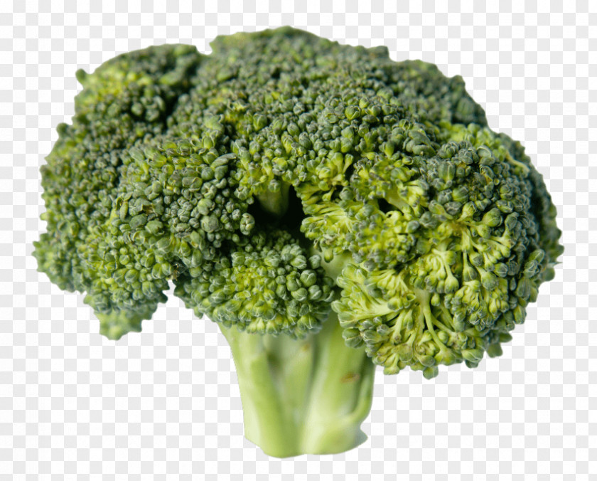 Broccoli Vegetarian Cuisine Vegetable Food PNG