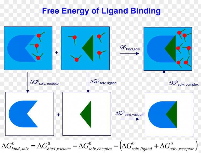 Energy Scoring Functions For Docking Solvation Ligand PNG