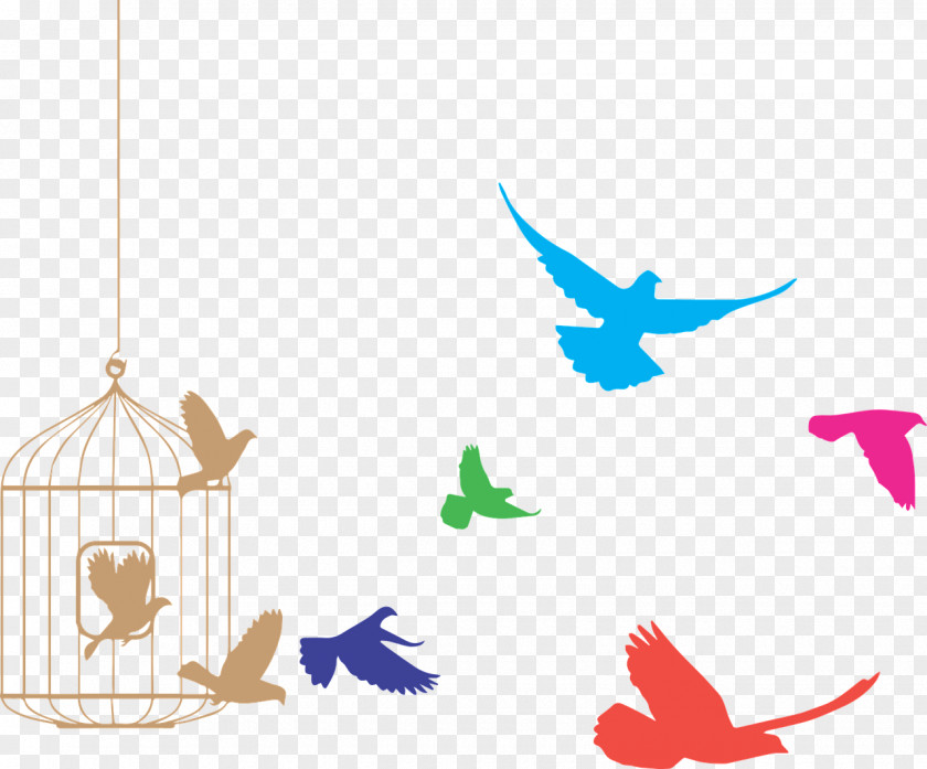 Flying Bird Birdcage PNG