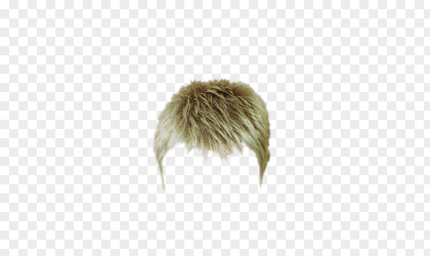 Pretty Creative Men's Hairstyle Wig PNG