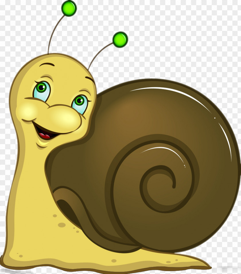 Snails Snail Download Clip Art PNG