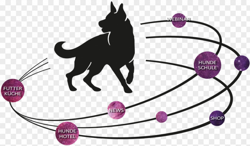 Cat Dog Puppy Obedience School PNG