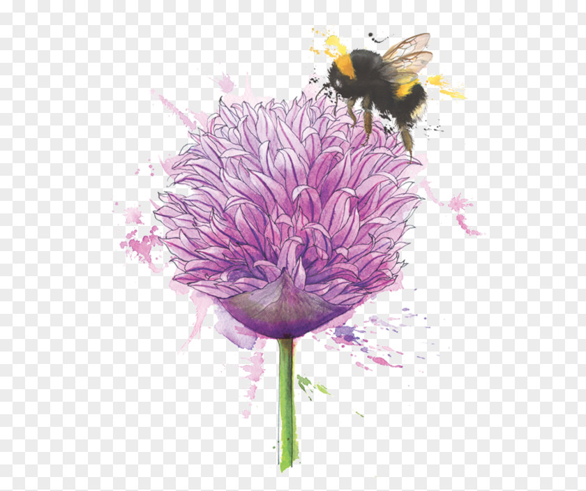 Honey Bees Floral Design Flower Chives Illustration PNG
