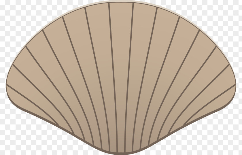 Seashell Clip Art PNG