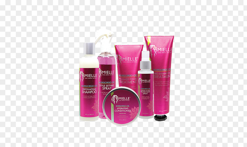 Shampoo Cosmetics Lotion Hair Care Styling Products PNG
