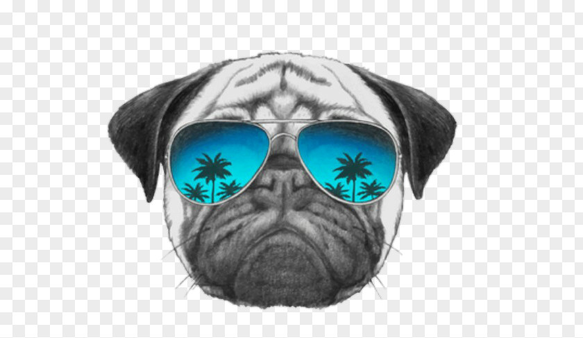 T-shirt Pug Sunglasses Dog Collar PNG