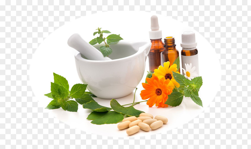 Alternative Health Therapy Ayurveda Medicine Services Naturopathy PNG