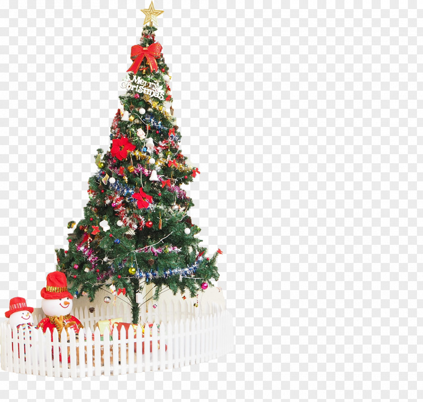 Christmas Tree Ornament Spruce Day Fir PNG