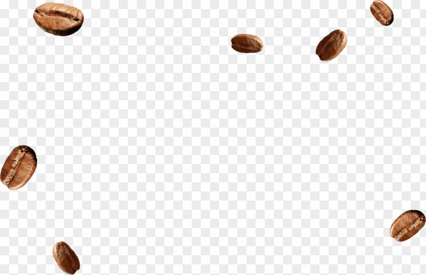 Coffe Been MacCoffee Food Nut Brand PNG