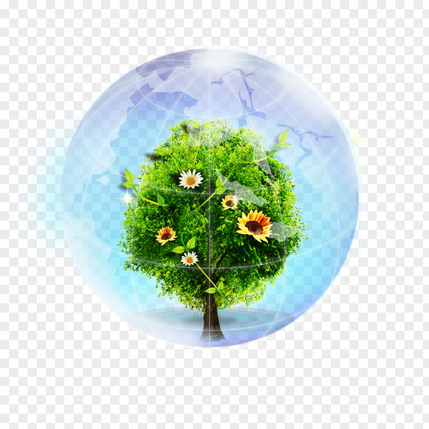 Environmental Earth Ecology Plant PNG