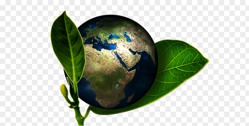 Green Earth Global Warming Natural Environment Carbon Footprint Sustainability Greenhouse Gas PNG