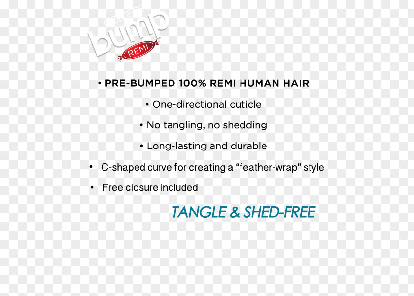 Hair Document Moulting Cuticle Feather PNG