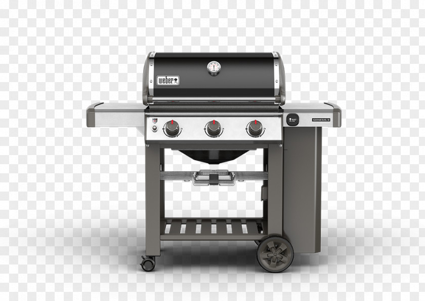 Hand Painted Cake Barbecue Weber Genesis II E-310 Weber-Stephen Products S-310 LX 340 PNG